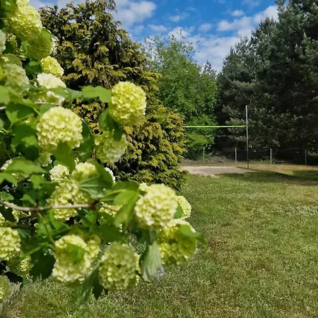 Letniskowe Pod Aniolem Wielen *