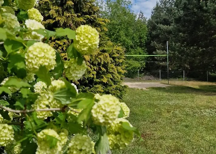 Letniskowe Pod Aniolem Wielen *